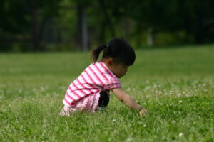 11月8日(土)、9日(日)、のイベントレポート